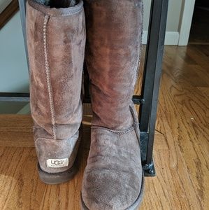 Tall Classic Chocolate Ugg